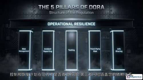 DORA合规实操视频教程