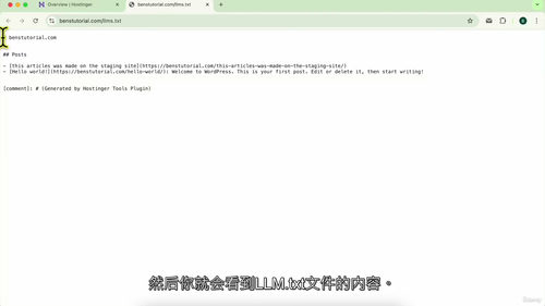 Hostinger 全面精通指南:域名、WordPress、