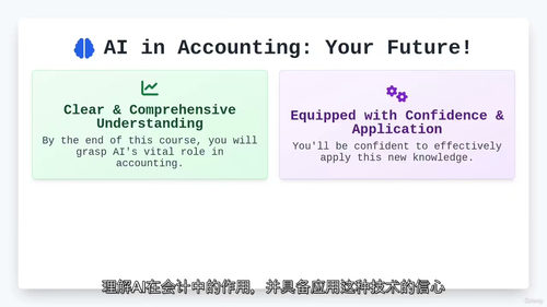人工智能在会计中的应用 —— 专业人员完全指南  (中文字幕