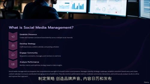 精通社交媒体营销与管理 (中文字幕英文视频教程)