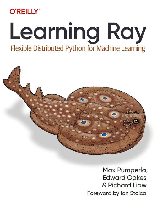 学习 Ray：面向机器学习的灵活分布式 Python 框架