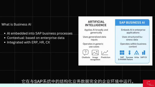 SAP商业AI基础视频教程
