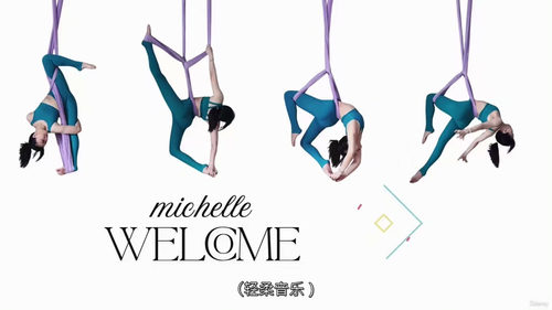 空中瑜伽劈叉流：柔韧与顺位之道  (中文字幕英文视频教程)