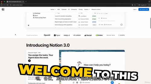 Notion AI自动化实战指南
