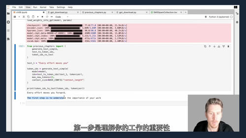 从零构建大语言模型(LLM)实战编程课 (中文字幕英文视频