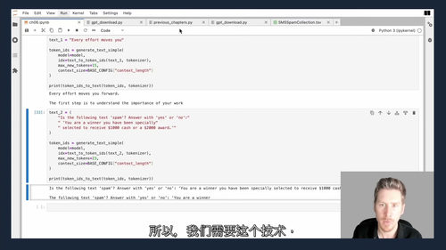 从零构建大语言模型(LLM)实战编程课 (中文字幕英文视频