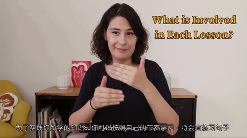 ASL Bridge 中级美国手语课程 (中文字幕英文视频