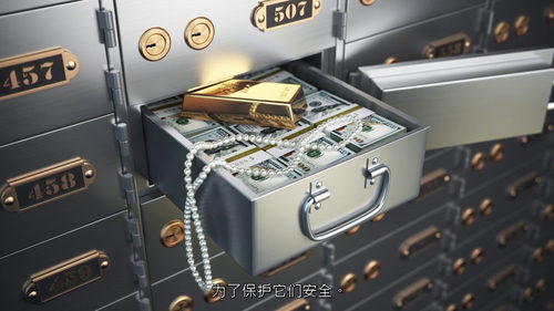 遗失的艺术：失踪杰作背后的故事  (中文字幕英文视频教程)