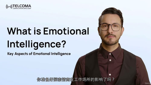 情商精通:从自我到领导力