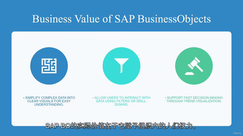 SAP BusinessObjects 大师课程 2025