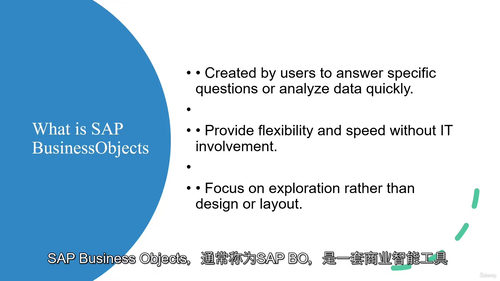 SAP BusinessObjects 大师课程 2025