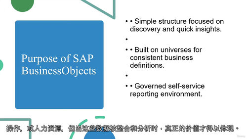SAP BusinessObjects 大师课程 2025