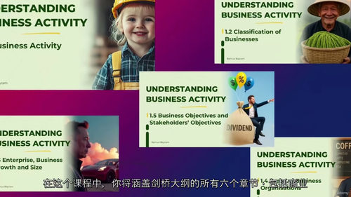 IGCSE商务研究完整课程（第1-6章）  (中文字幕英文视