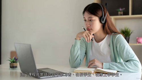 IGCSE商务研究完整课程（第1-6章）  (中文字幕英文视