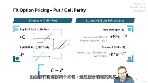 企业资金部外汇管理进阶 (中文字幕英文视频教程)