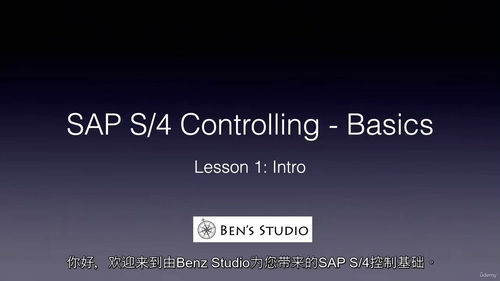 SAP S/4HANA管理会计教程
