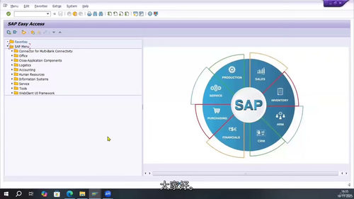 SAP FSCM争议管理实战配置