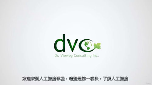 AI治理与风险实战教程