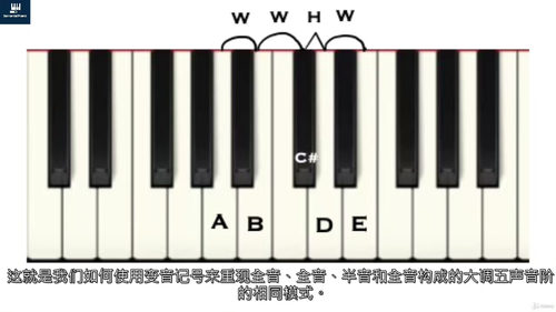 零基础钢琴速成课