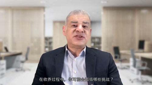 人工智能变革管理策略