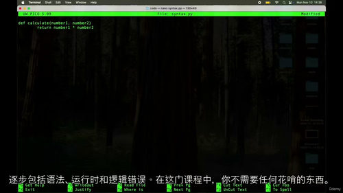 Python调试错误解决实战