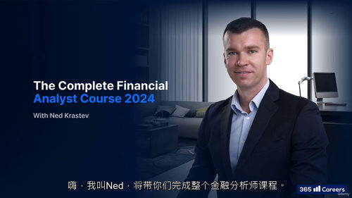 全能财务分析师实战课