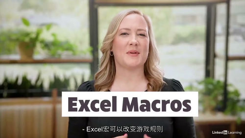 Excel 宏深度实战指南（2025 版）（中文字幕英文视频