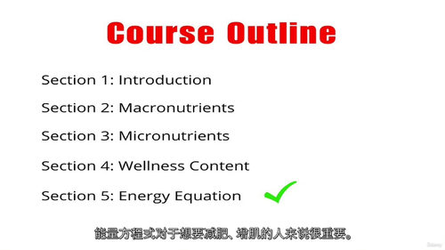 终极营养学视频课