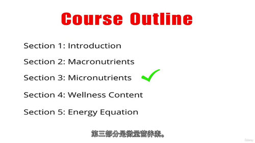 终极营养学视频课