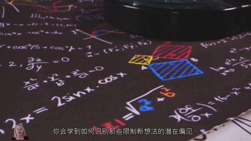 [中字] 颠覆性思维：领导者的创新与明智风险决策（中文字幕英