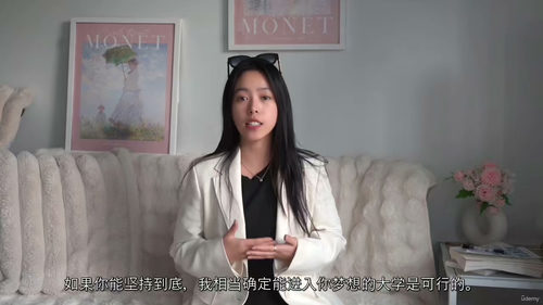 [中字] 高中四年：美国大学申请成功路线图（中文字幕英文视频