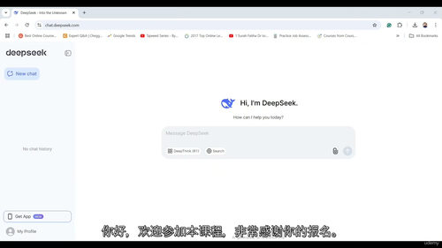 [中字] 零成本掌握 DeepSeek：超全提示词库与实用