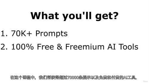 [中字] 零成本掌握 DeepSeek：超全提示词库与实用