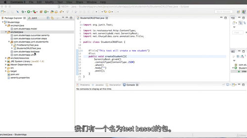 [中字] REST API 自动化测试实战：基于 REST