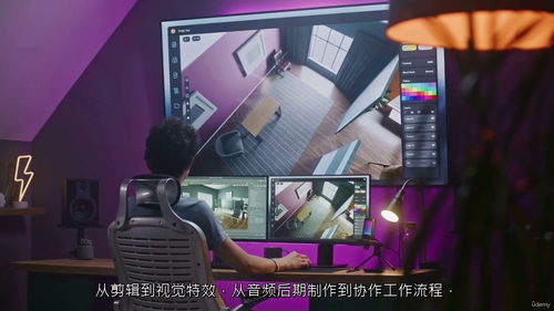 [中字] DaVinci Resolve 零基础实战营：从入