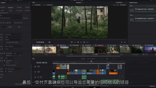 [中字] DaVinci Resolve 零基础实战营：从入
