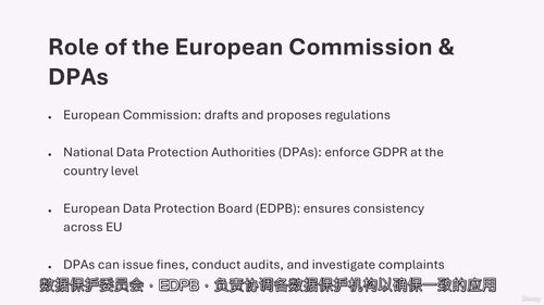 [中字] GDPR 数据保护大师课：数据隐私与数据保护官养成