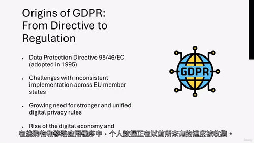 [中字] GDPR 数据保护大师课：数据隐私与数据保护官养成
