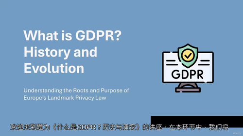 [中字] GDPR 数据保护大师课：数据隐私与数据保护官养成