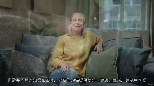 猫咪饲养科学指南