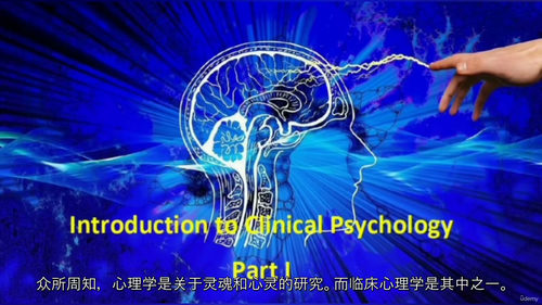 [中字] 临床心理学速成课程（中文字幕英文视频教程）