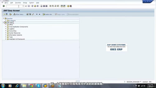 SAP WM仓储管理认证培训 (英文课程中文字幕)