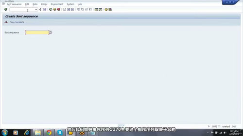 SAP WM仓储管理认证培训 (英文课程中文字幕)
