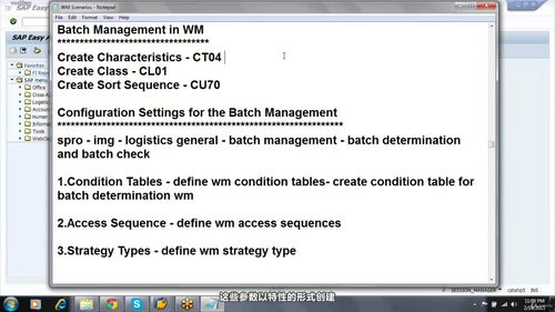 SAP WM仓储管理认证培训 (英文课程中文字幕)
