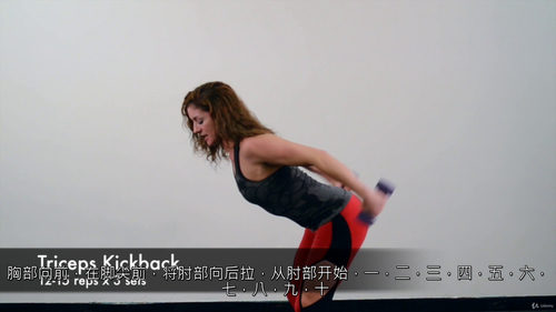 哑铃全身入门健身课程(中文字幕英文视频教程)