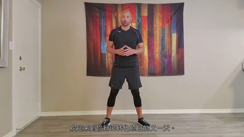 31 天 Tabata 身体蜕变挑战（中文字幕英文视频教程）
