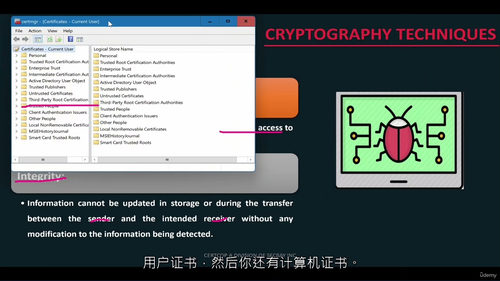 蓝队防御：威胁与漏洞管理