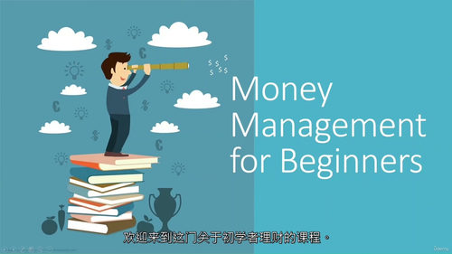 新手理财入门：从资金追踪到需求规划（中文字幕英文视频教程）