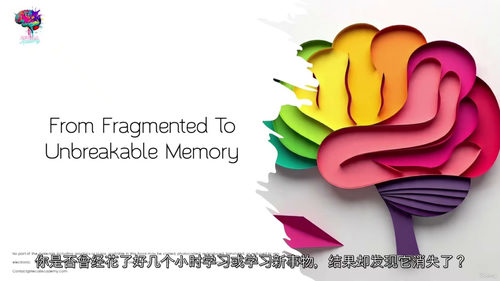 [中字] 告别遗忘，保持敏锐：对抗记忆力减退的科学方法（中文