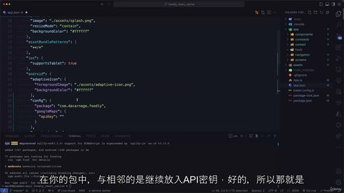 [中字] React Native 美食外卖应用开发实战（中